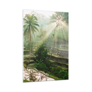 Quadro su vetro - Risaie tropicali con palme nella nebbia mattutina - 50x70cm - Crescere al sole - Decorazione murale moderna per soggiorno e camera da letto ARTTOR