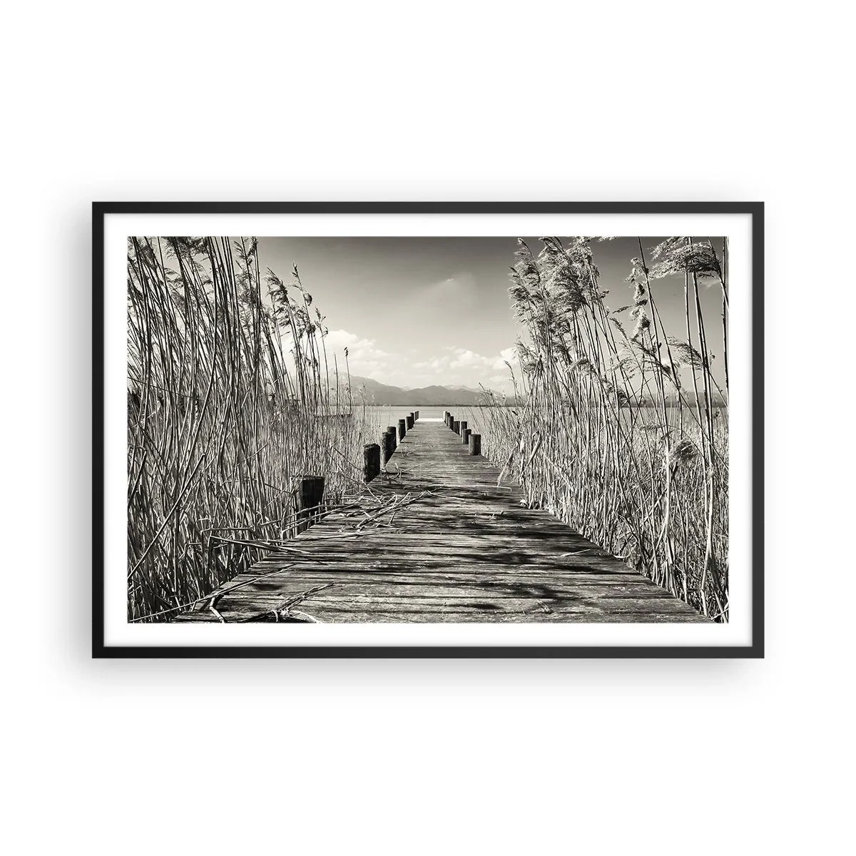 Poster in cornice nera - Nel silenzio dell'erba - 91x61 cm