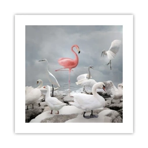 Poster - Come sono arrivato qui? - 40x40 cm