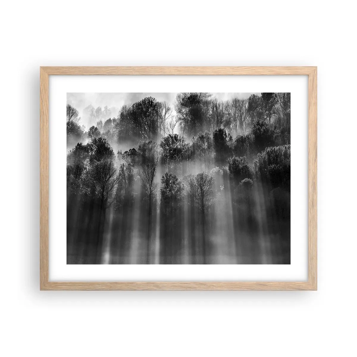 Poster in cornice rovere chiaro - Nei getti di luce - 50x40 cm
