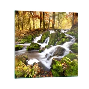 Quadro su vetro - Rapido nel bosco autunnale - 30x30 cm