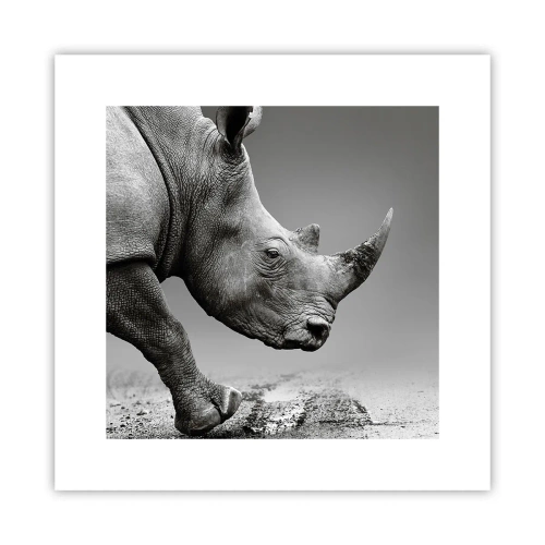 Poster - Forza irrefrenabile - 30x30 cm