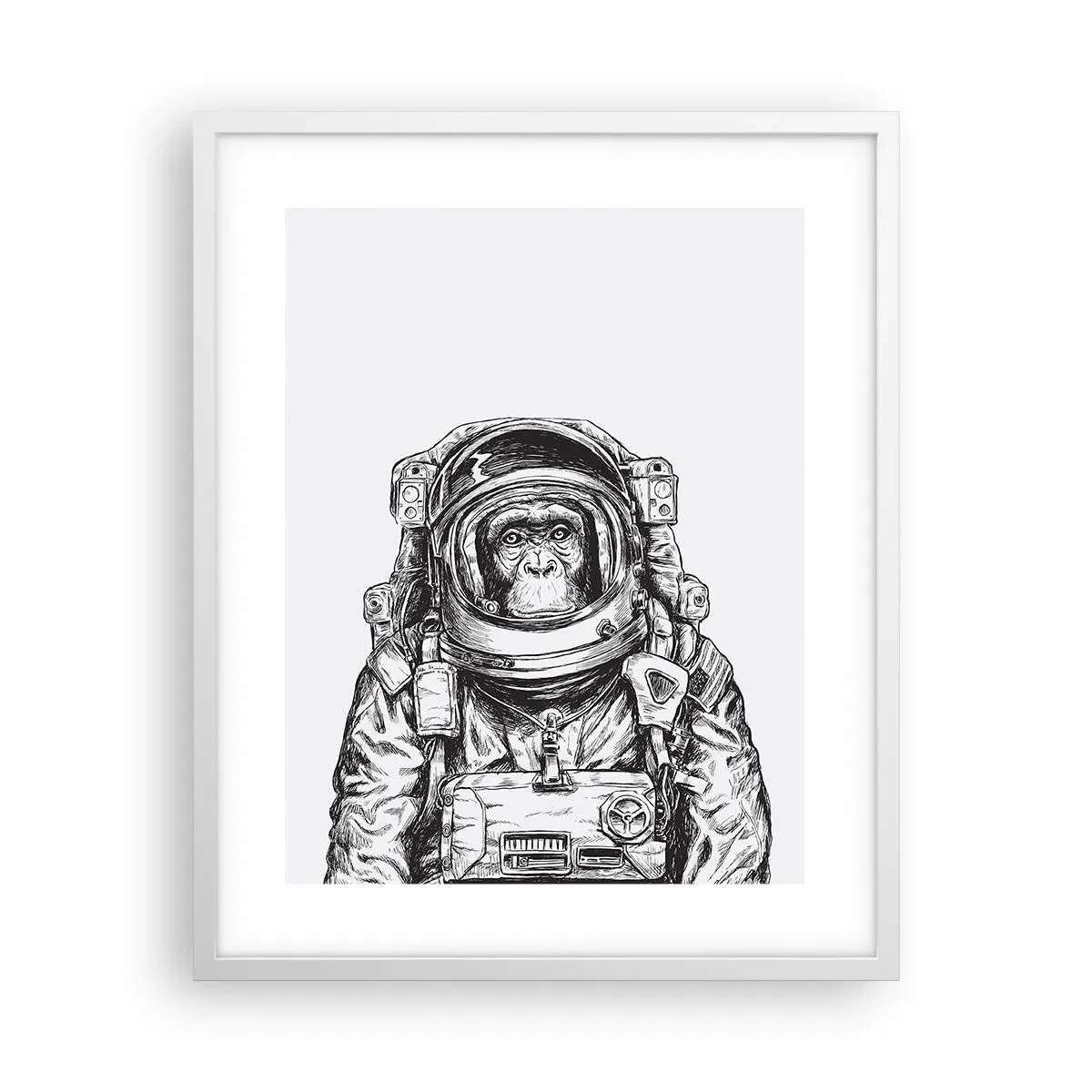 Poster in cornice bianca - Evoluzione alternativa - 40x50 cm