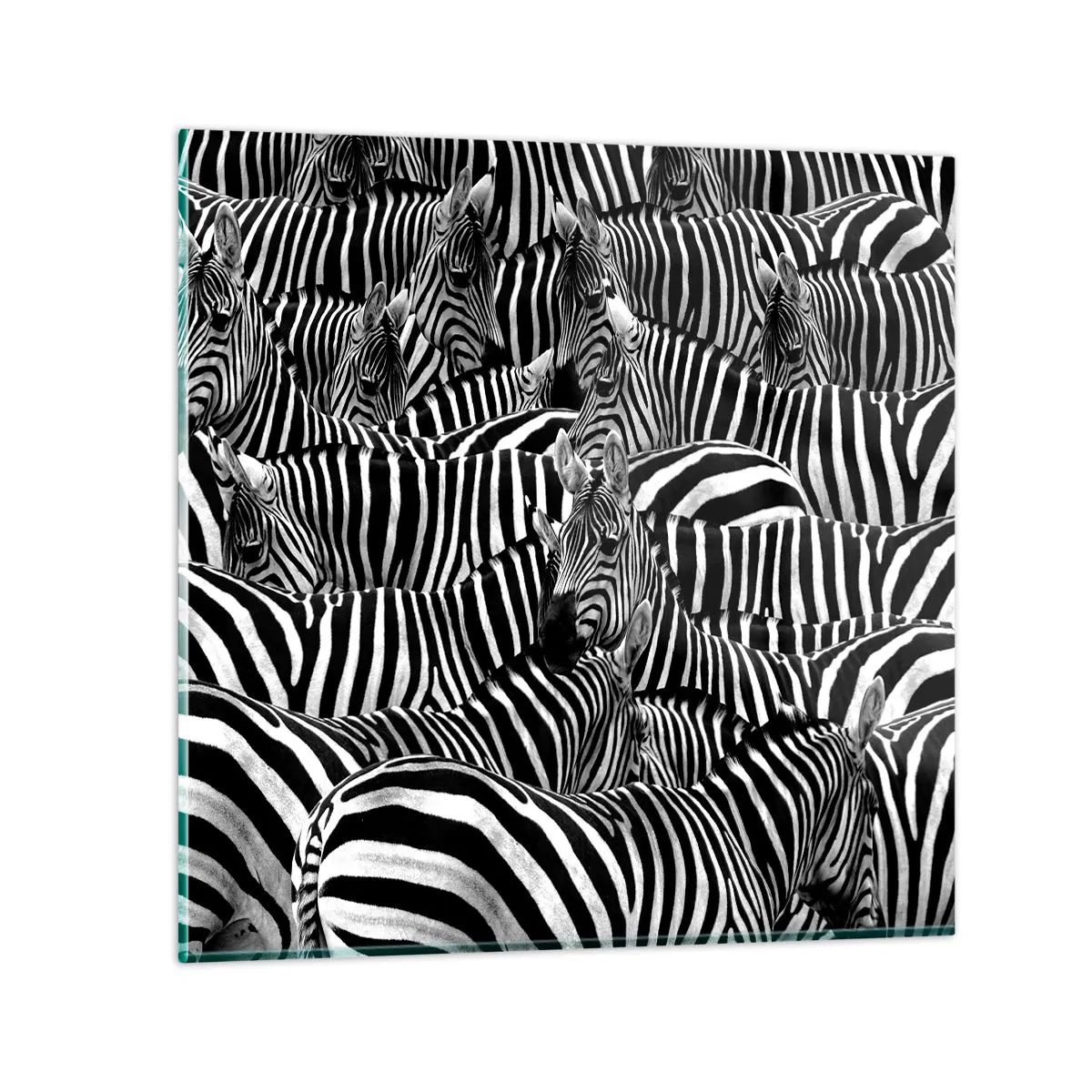 Quadro su vetro - Ritratto collettivo a strisce - 70x70 cm