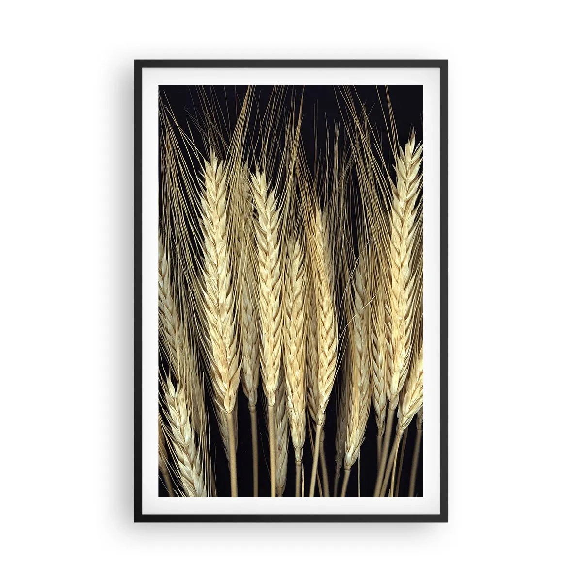 Poster in cornice nera - Magia rustica - 61x91 cm