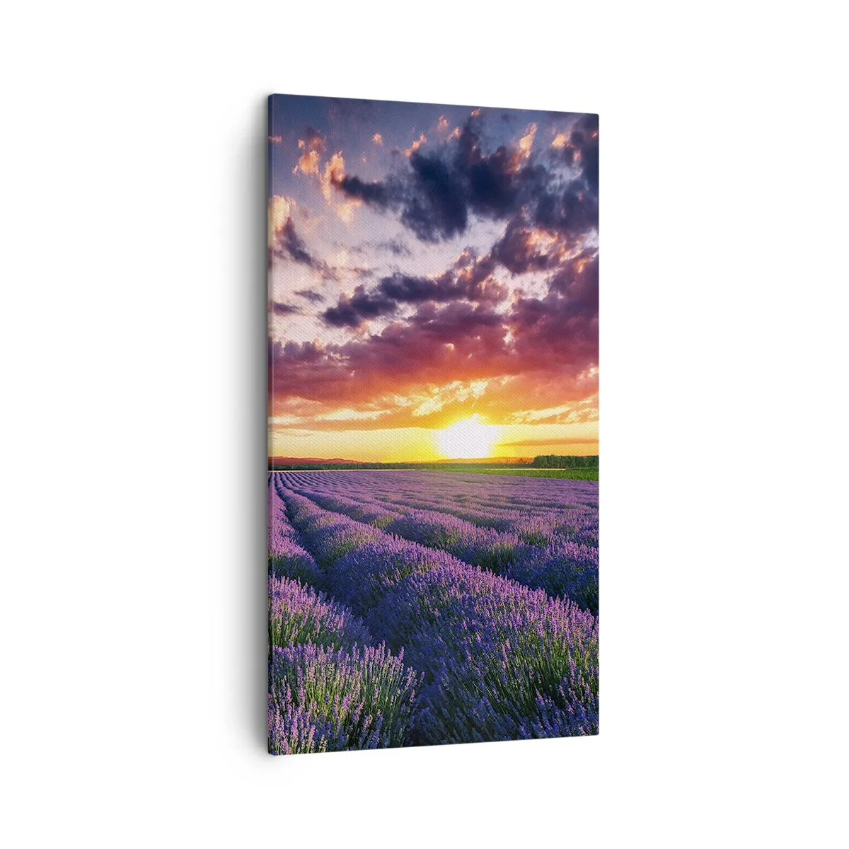 Quadro su tela - Stampe su Tela - Il mondo della lavanda - 45x80 cm
