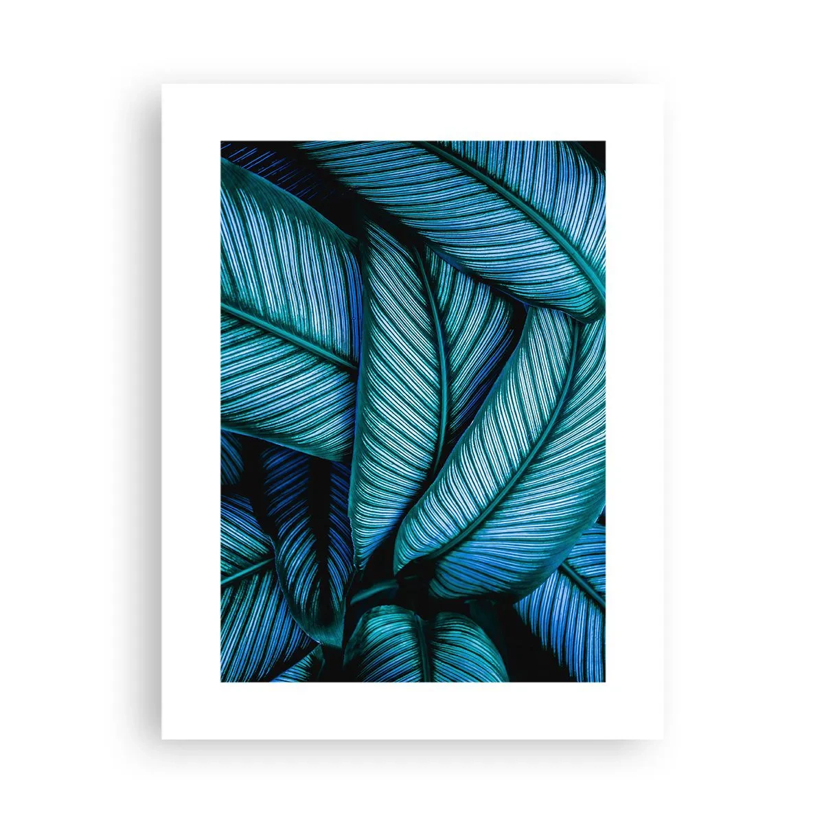 Poster - Le linee della vita - 30x40 cm