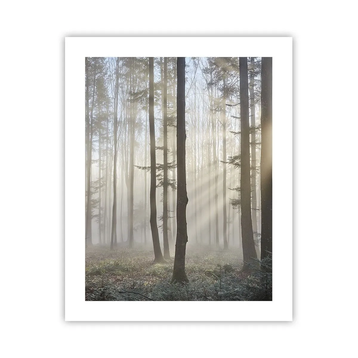 Poster - Anche la nebbia si è svegliata - 40x50 cm
