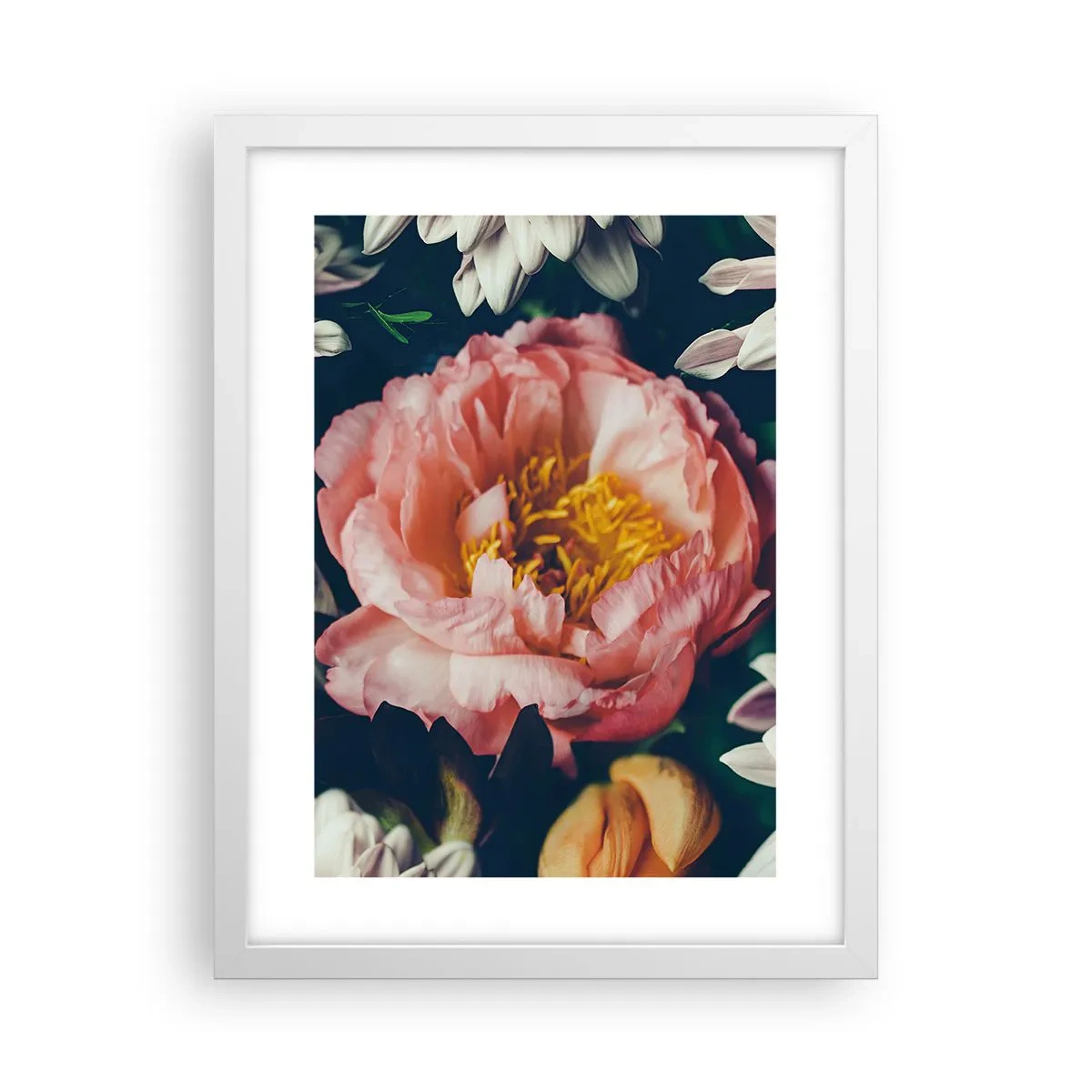 Poster in cornice bianca - Con fasto barocco - 30x40 cm
