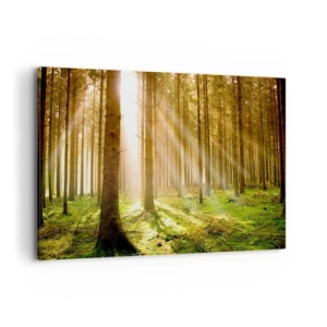 Quadro su tela - Stampe su Tela - Foresta di conifere con raggi di sole che brillano attraverso gli alberi - 120x80cm - Adesso appaiono gli elfi - Decorazione murale moderna per soggiorno e camera da letto ARTTOR