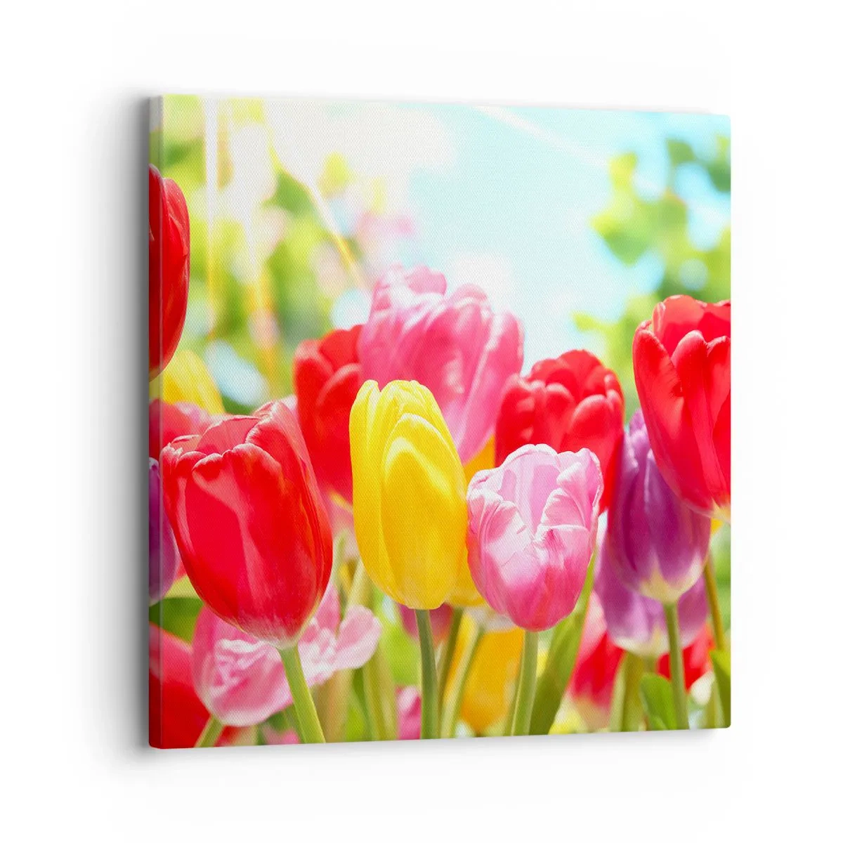 Quadro su tela - Stampe su Tela - Eccoci, i colori di maggio! - 30x30 cm