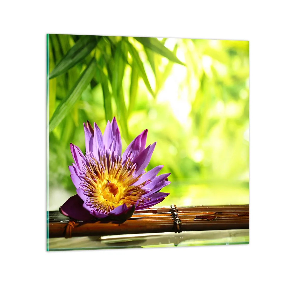 Quadro su vetro - Al sole dell'Asia - 70x70 cm