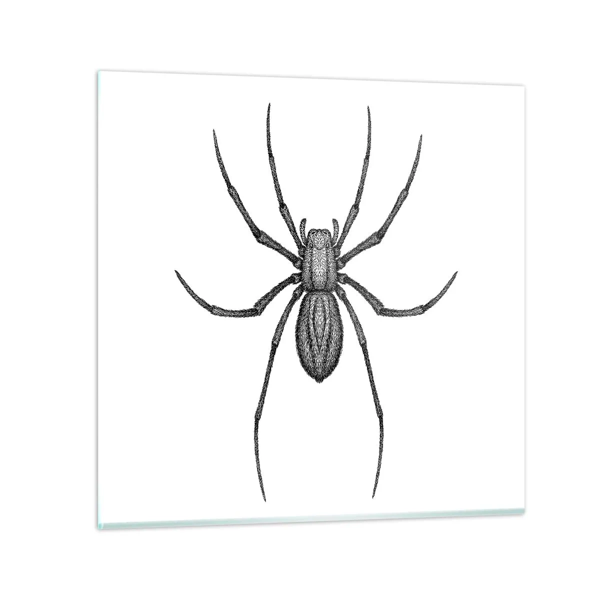 Quadro su vetro - Precisione inquietante - 60x60 cm