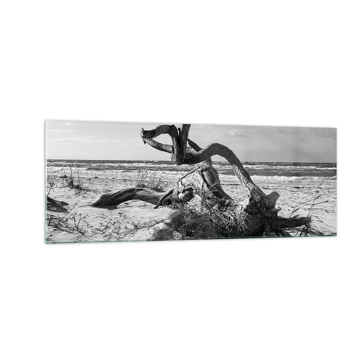Quadro su vetro - Paesaggio in bianco e nero con un albero morto sulla spiaggia - 140x50cm - Scolpito dal mare - Decorazione murale moderna per soggiorno e camera da letto ARTTOR