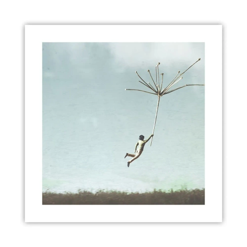 Poster - Aquiloni, denti di leone, vento - 40x40 cm