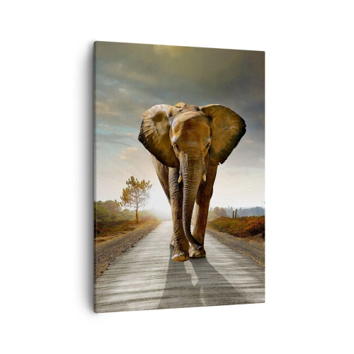 Quadro su tela - Stampe su Tela - Un elefante che cammina lungo una strada attraverso un paesaggio al tramonto - 50x70cm - E non nel negozio di cristalli - Decorazione murale moderna per soggiorno e camera da letto ARTTOR
