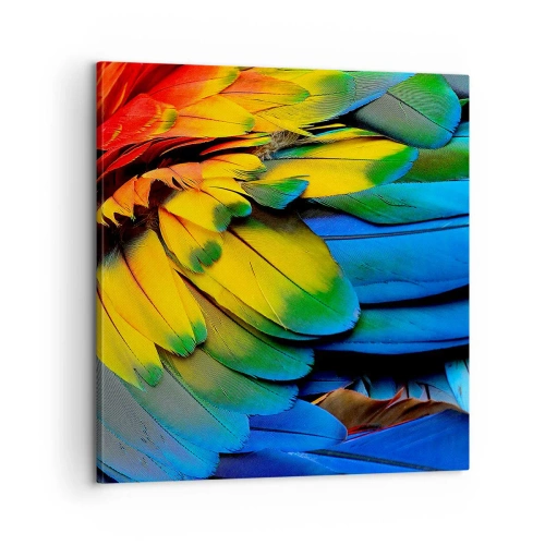 Quadro su tela - Stampe su Tela - L'uccello del paradiso - 60x60 cm