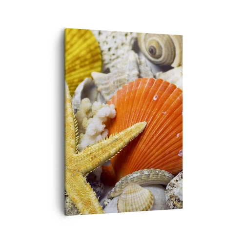 Quadro su tela - Stampe su Tela - Conchiglie e stelle marine in una composizione marina - 50x70cm - Tesori dell'oceano - Decorazione murale moderna per soggiorno e camera da letto ARTTOR