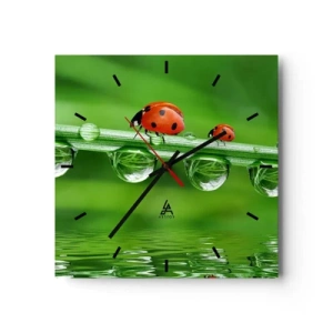 Orologio da parete - Orologio in Vetro - Coccinelle su un filo d'erba con gocce di rugiada in un ambiente naturale - 30x30cm - In cammino per tutta l'estate - Decorazione murale moderna per soggiorno e camera da letto ARTTOR