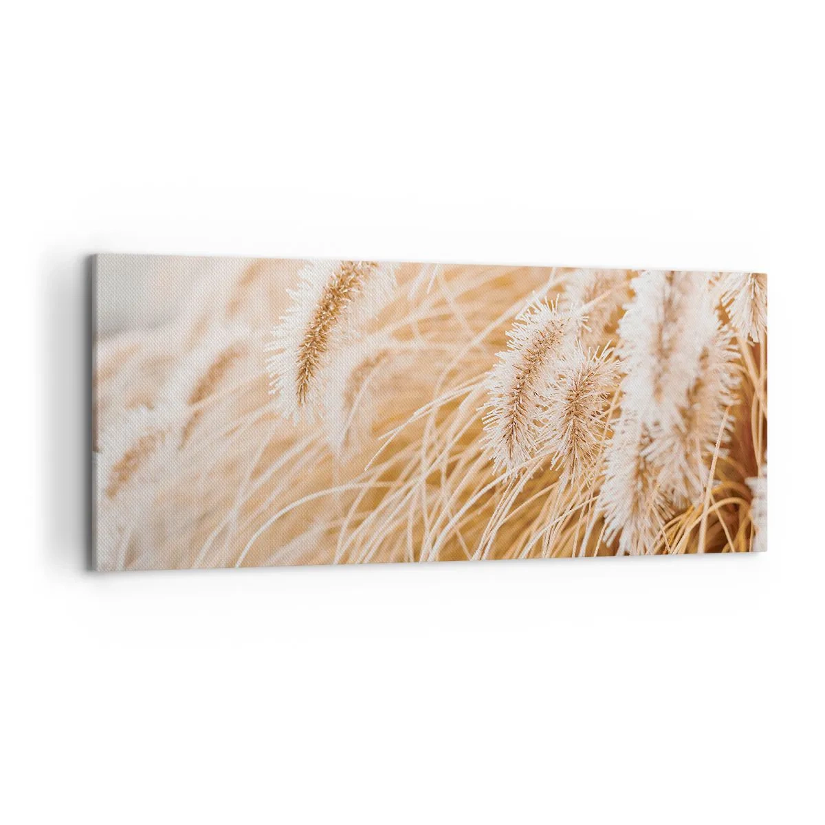 Quadro su tela - Stampe su Tela - Primo piano di erbe dorate e delicate alla luce del sole - 120x50cm - Il fruscio dorato dell'erba - Decorazione murale moderna per soggiorno e camera da letto ARTTOR