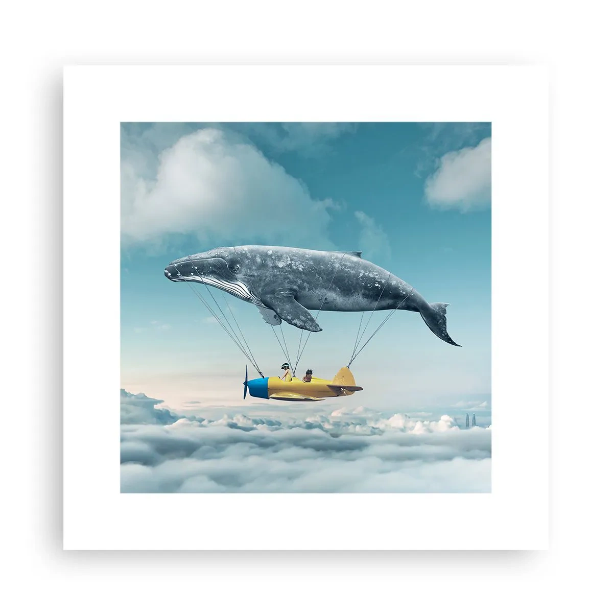 Poster - Perché no? - 30x30 cm