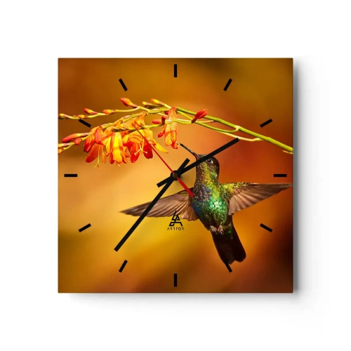 Orologio da parete - Orologio in Vetro - Colibrì vicino a un fiore nella calda luce - 30x30cm - Messaggero di luce secondo i Maya - Decorazione murale moderna per soggiorno e camera da letto ARTTOR