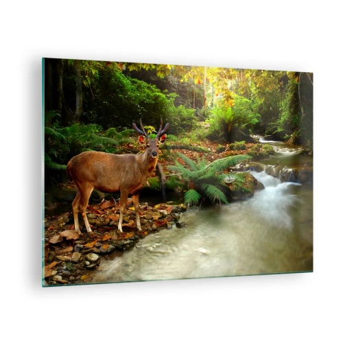 Quadro su vetro - Un cervo vicino a un ruscello in una foresta illuminata dal sole - 70x50cm - Benvenuto nel mio mondo - Decorazione murale moderna per soggiorno e camera da letto ARTTOR