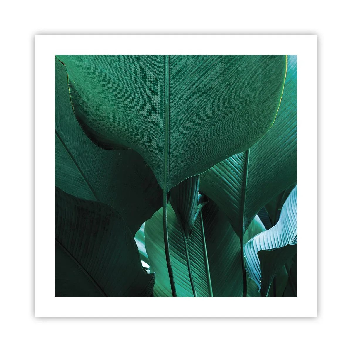 Poster - Verso la luce - 50x50 cm