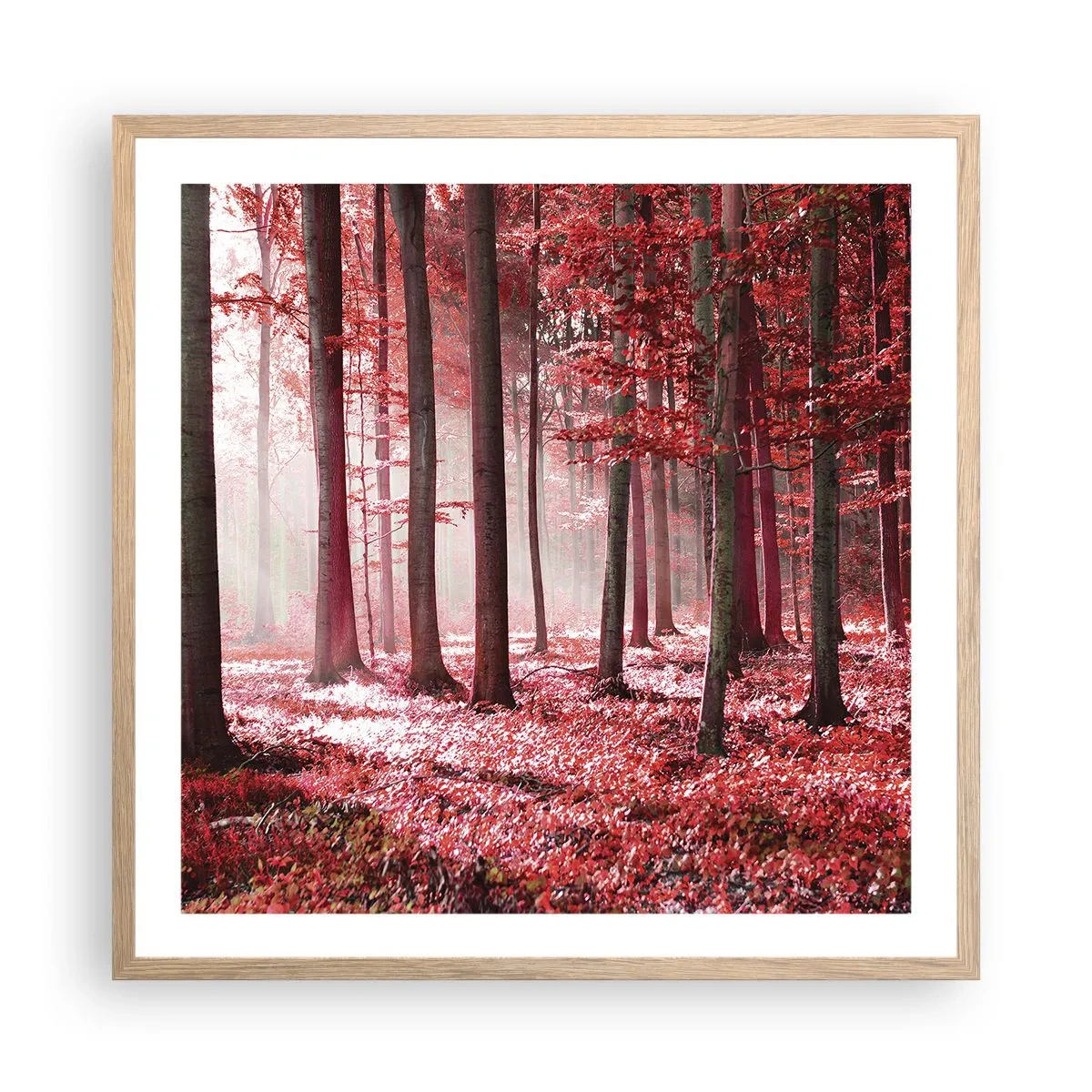 Poster in cornice rovere chiaro - Anche rosso è bello - 60x60 cm