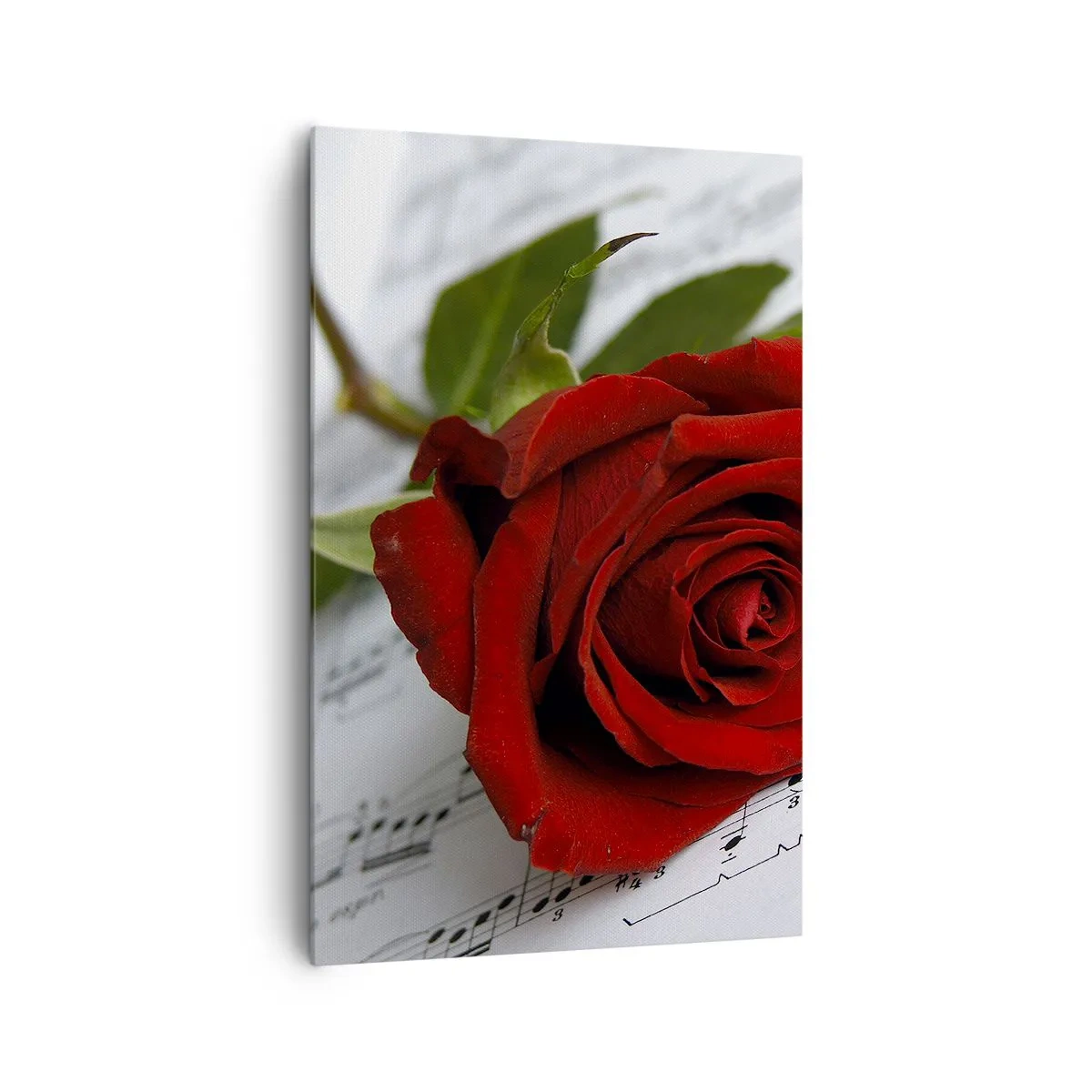 Quadro su tela - Stampe su Tela - Una rosa rossa su uno sfondo di note musicali su carta bianca. - 80x120cm - La musica dei sentimenti in scarlatto - Decorazione murale moderna per soggiorno e camera da letto ARTTOR