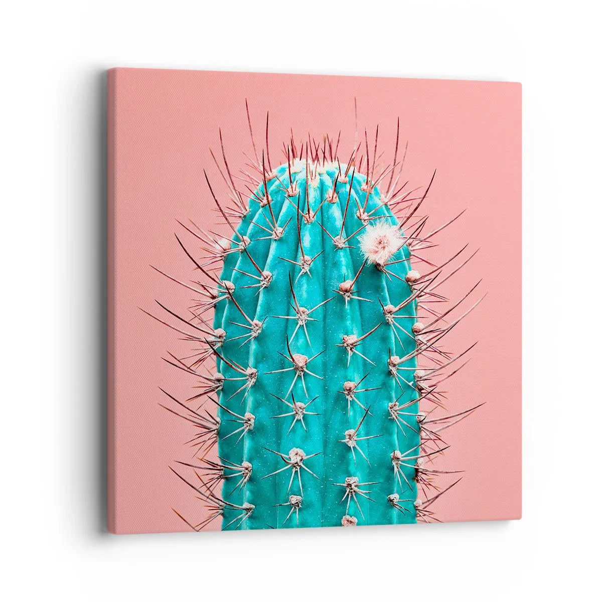 Quadro su tela - Stampe su Tela - Stai attento - 40x40 cm