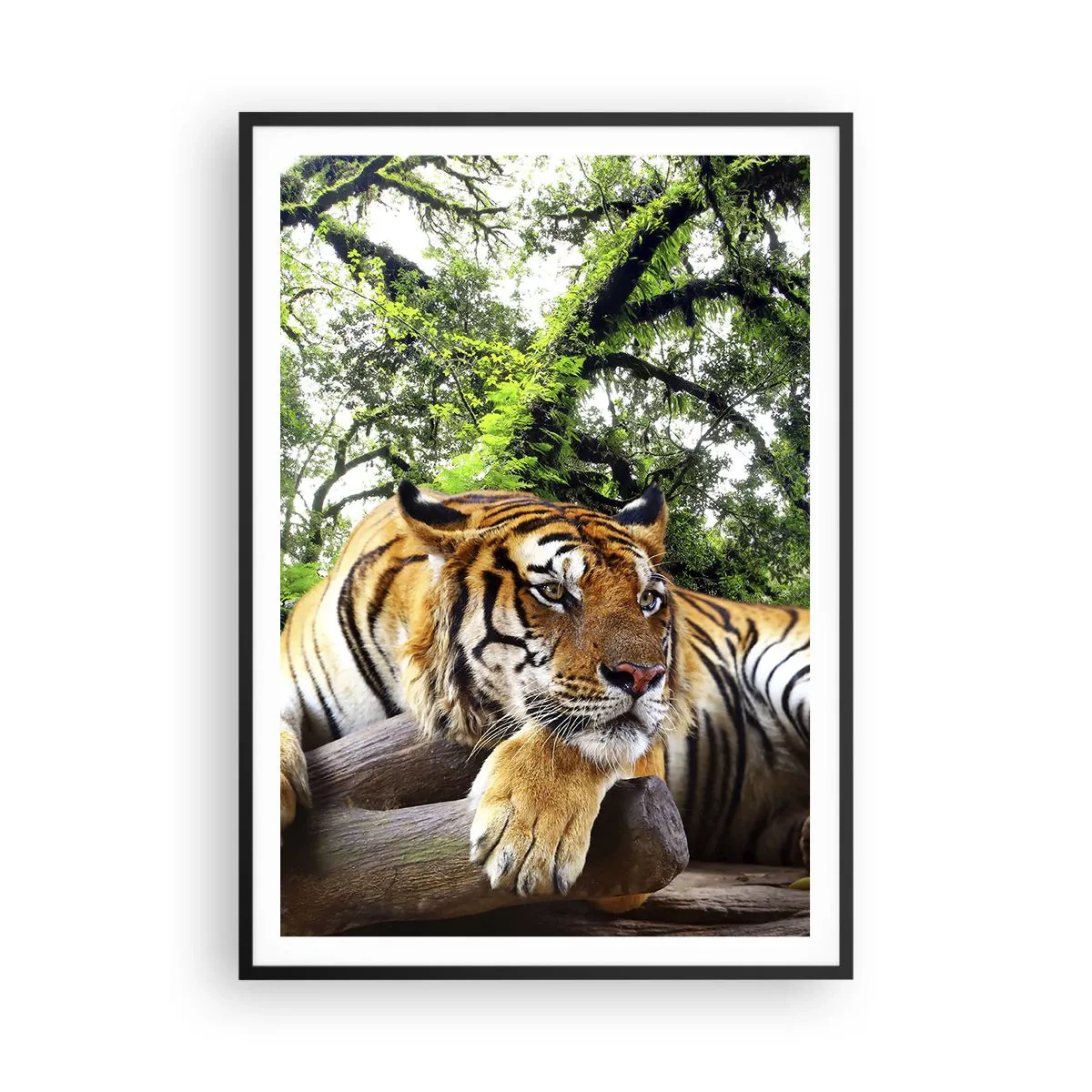 Poster in cornice nera - Con espressioni di stima - 70x100 cm