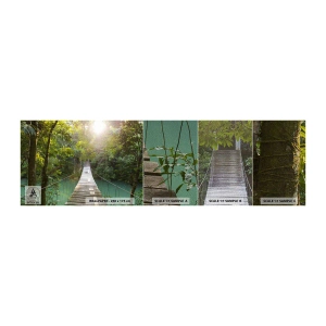 Campione di Fotomurale Premium Sand - Sull'acqua azzurra verso il bosco azzurro - Paesaggio, Giungla, Ponte di Legno - 100x30 cm