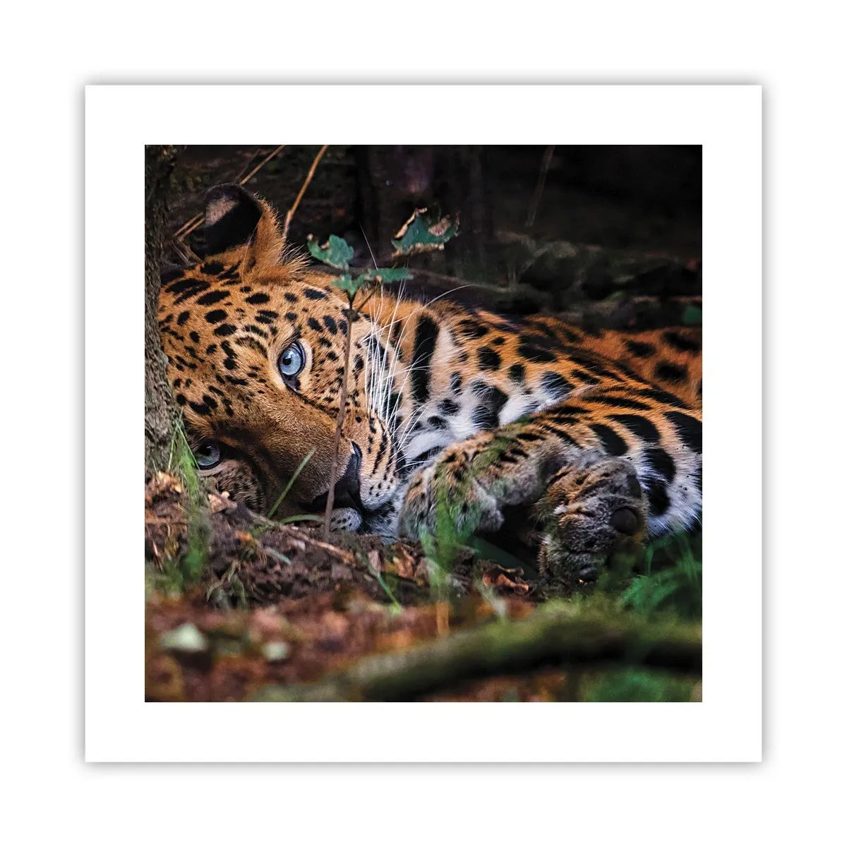 Poster - Fidati di me - 40x40 cm