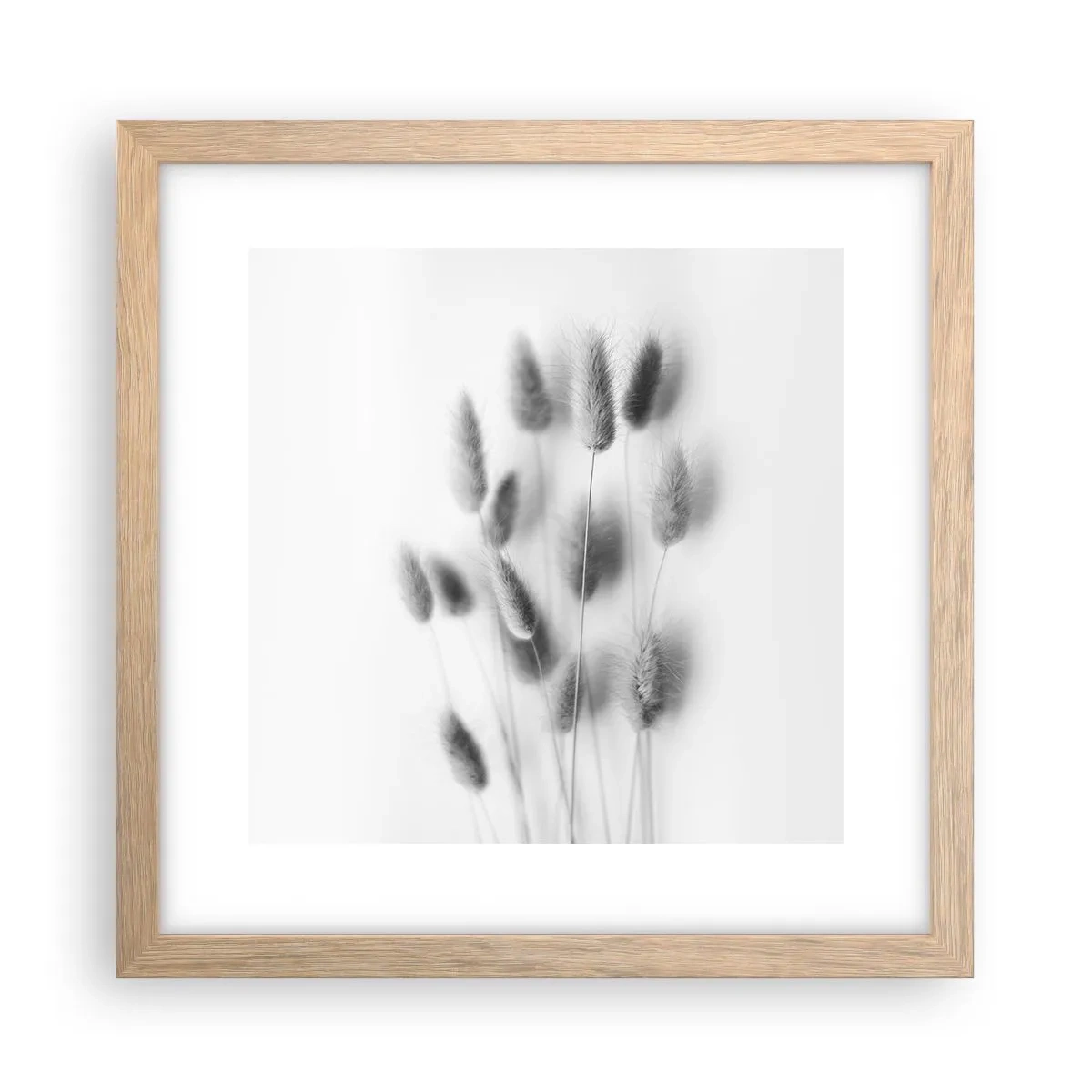 Poster in cornice rovere chiaro - Erba soffice - 30x30 cm