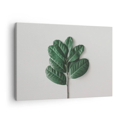 Quadro su tela - Stampe su Tela - Un rametto di foglie verdi su uno sfondo chiaro - 70x50cm - Il disegno della natura stessa - Decorazione murale moderna per soggiorno e camera da letto ARTTOR