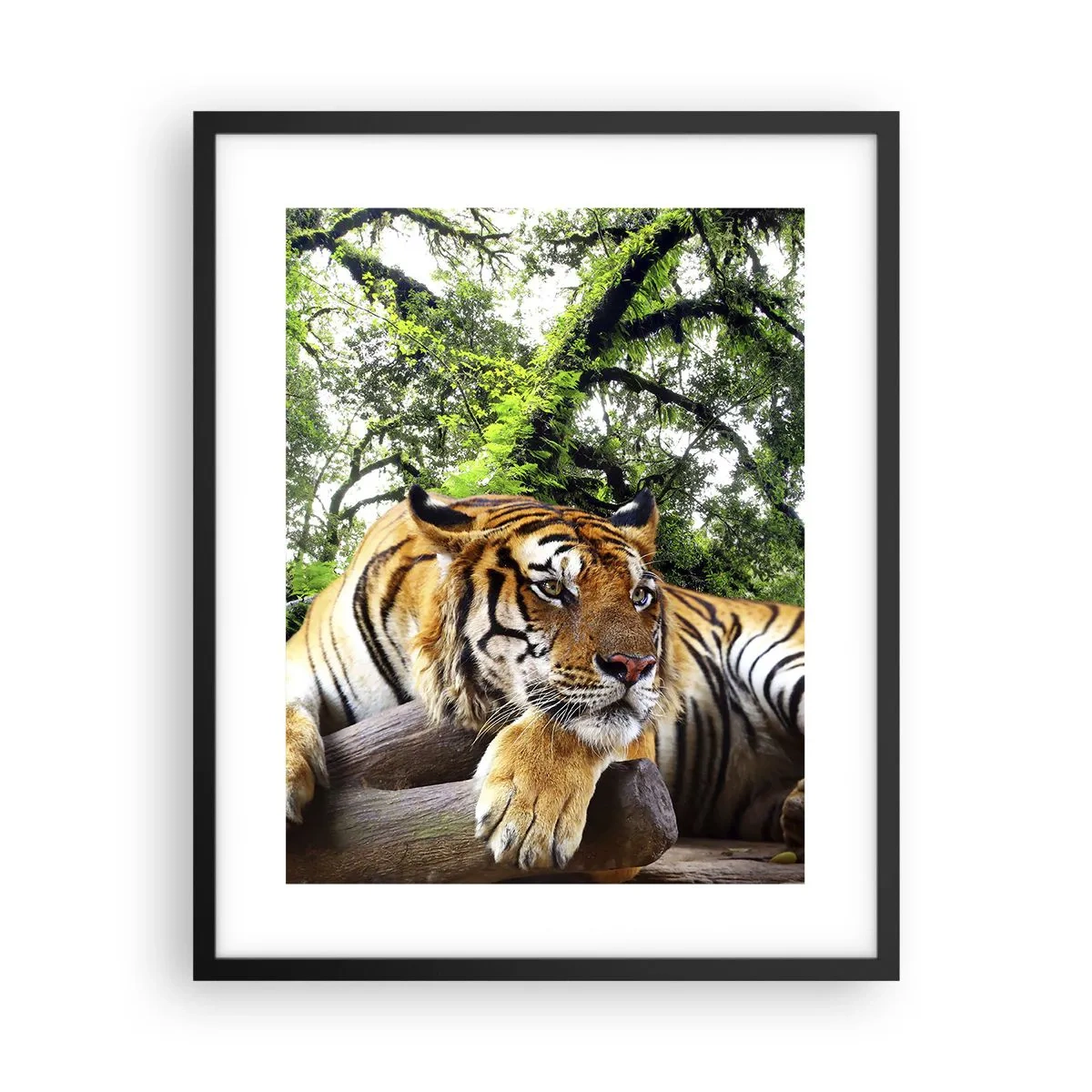 Poster in cornice nera - Con espressioni di stima - 40x50 cm