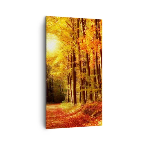 Quadro su tela - Stampe su Tela - Autunno dorato nella via nel bosco - 45x80 cm