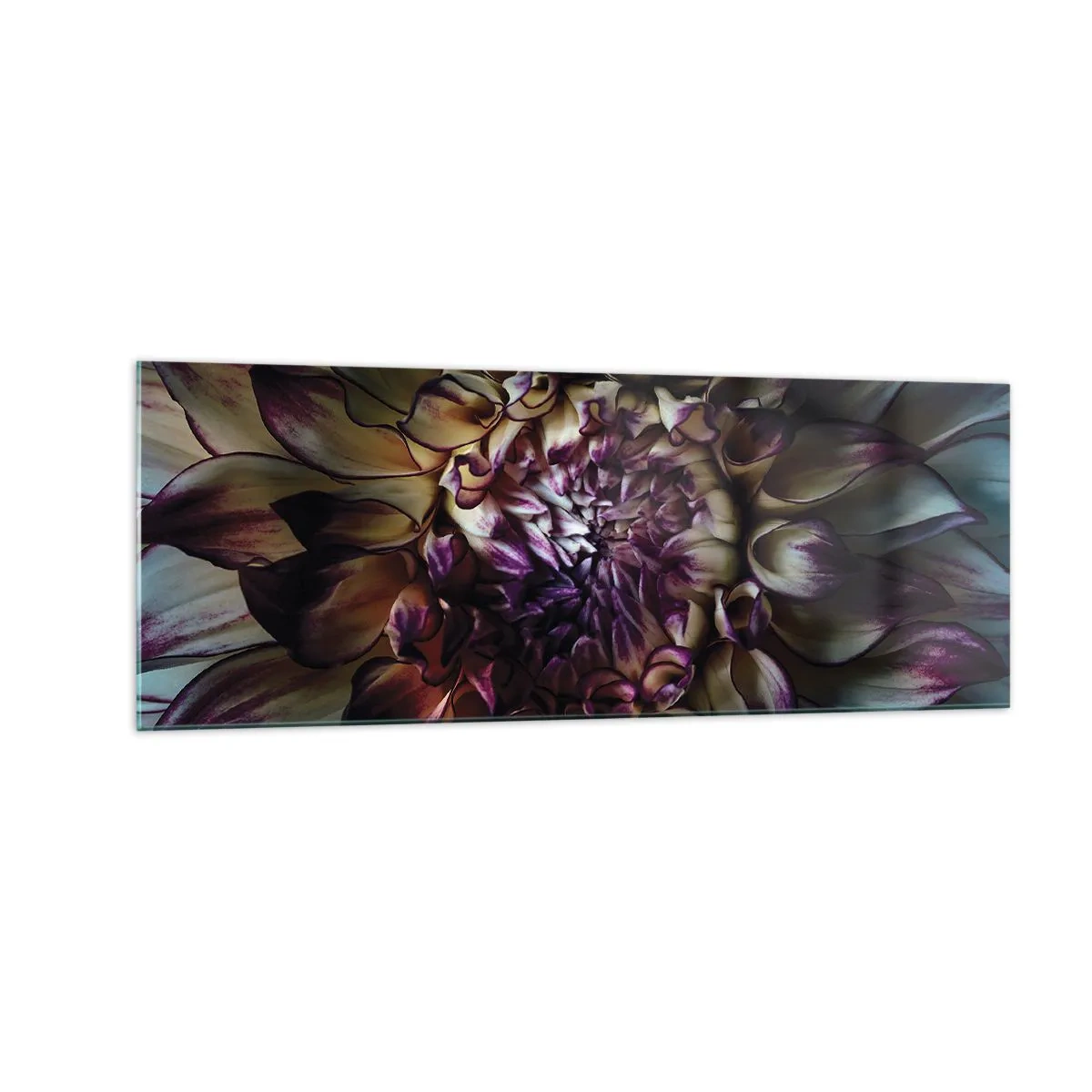 Quadro su vetro - Primo piano di un fiore di dalia in toni scuri - 140x50cm - Il rigoglio della giovinezza - Decorazione murale moderna per soggiorno e camera da letto ARTTOR