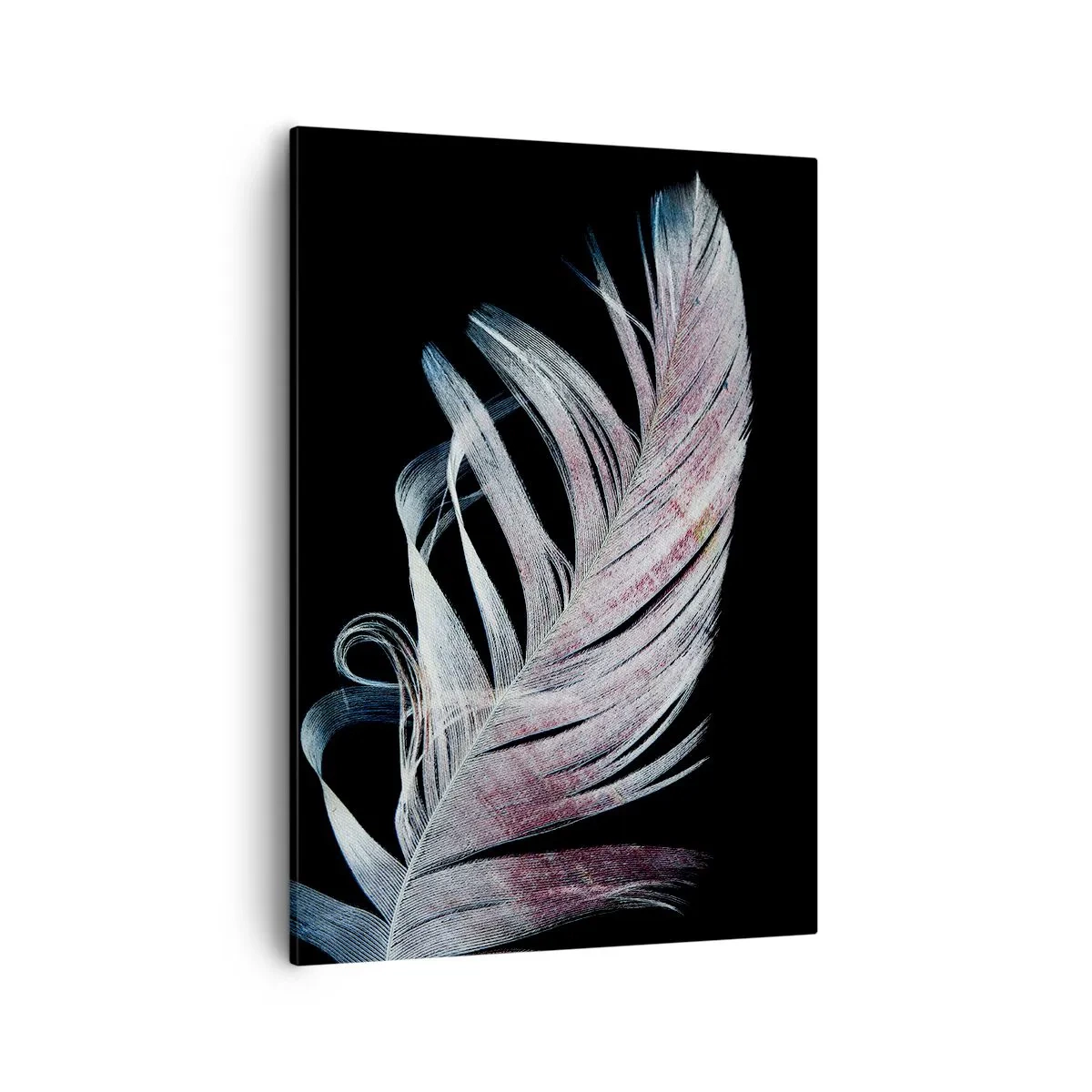 Quadro su tela - Stampe su Tela - Una piuma delicata su uno sfondo nero in un approccio artistico - 50x70cm - Pensa al tocco - Decorazione murale moderna per soggiorno e camera da letto ARTTOR