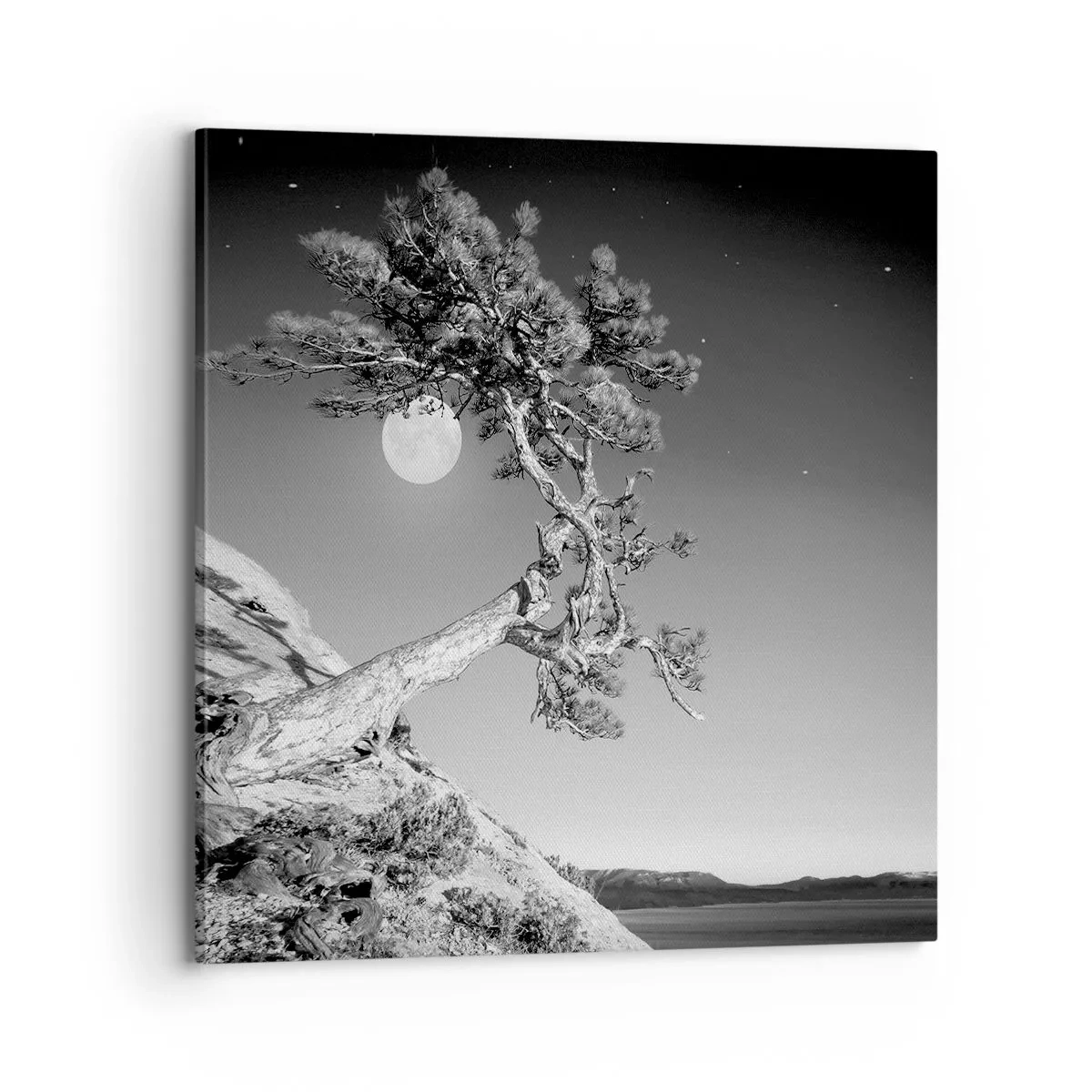 Quadro su tela - Stampe su Tela - Guerriera vittoriosa  - 70x70 cm