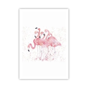 Poster - Gruppo in rosa - 70x100 cm