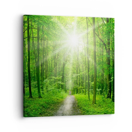 Quadro su tela - Stampe su Tela - Cattedrale verde - 30x30 cm