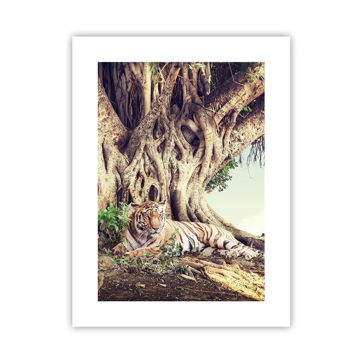 Poster - Vista dal Libro della Genesi - 30x40 cm