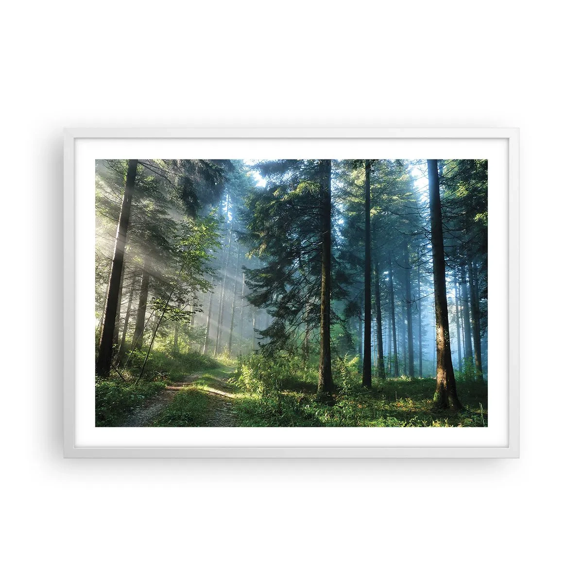 Poster in cornice bianca - Raggiante all'alba - 70x50 cm