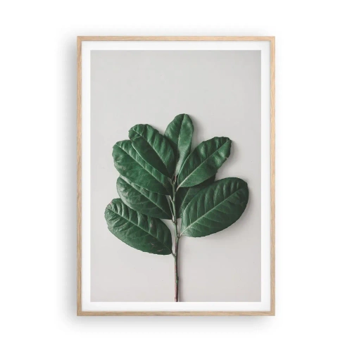 Poster in cornice rovere chiaro - Il disegno della natura stessa - 70x100 cm