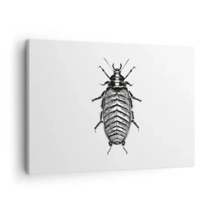 Quadro su tela - Stampe su Tela - Grafica di un insetto bianco e nero su sfondo bianco - 70x50cm - Che esemplare! - Decorazione murale moderna per soggiorno e camera da letto ARTTOR