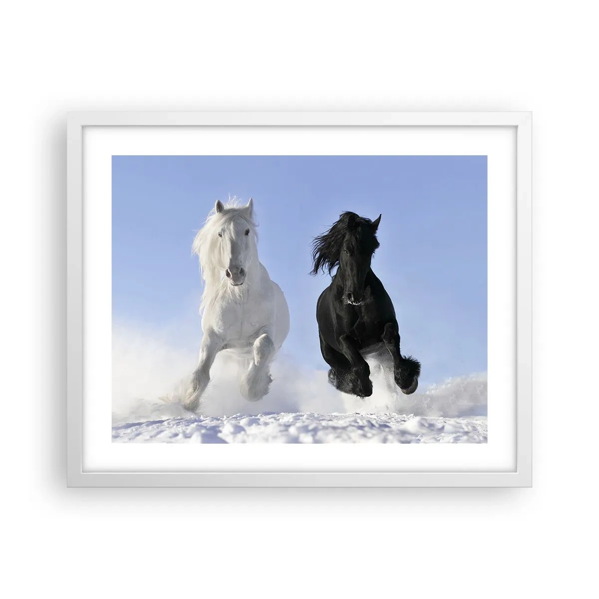 Poster in cornice bianca - Galoppo in bianco e nero - 50x40 cm