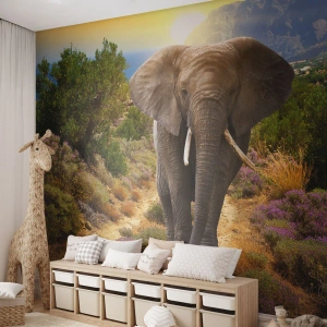 Fotomurale su misura Premium Canvas - Così era il paradiso - Animali, Elefante, Safari