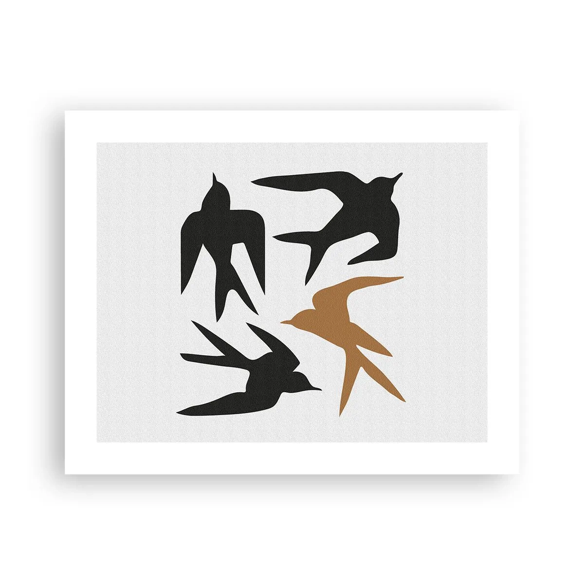 Poster - Giochi di rondini - 50x40 cm